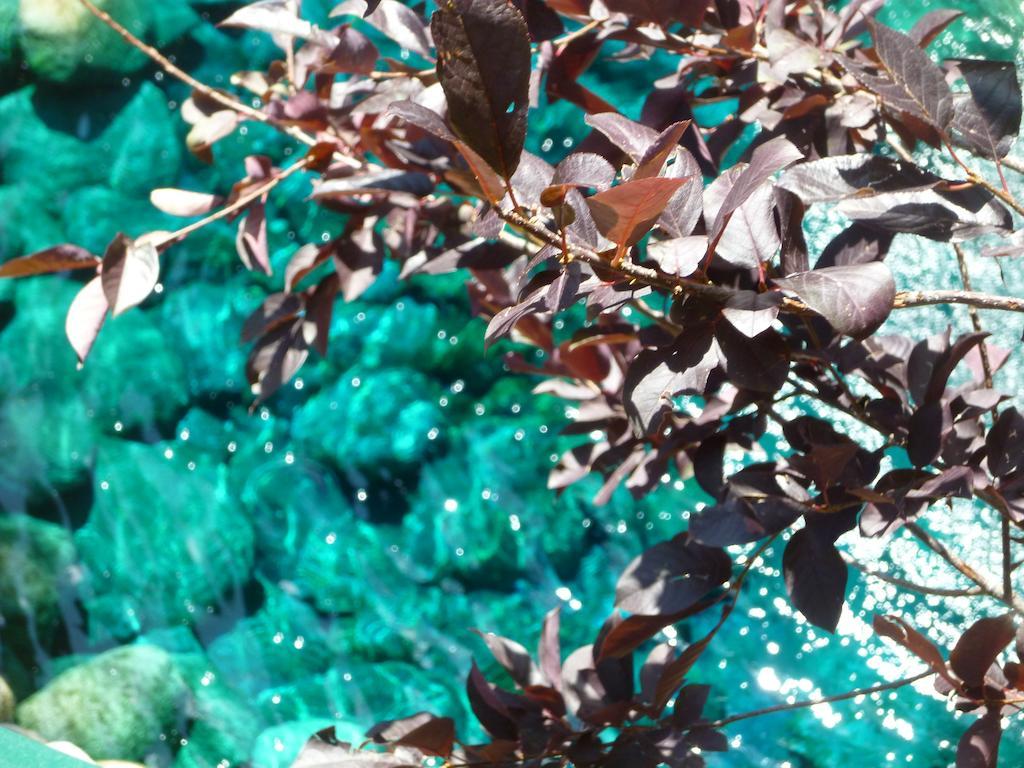 Ruidoso River Resort Condos エクステリア 写真