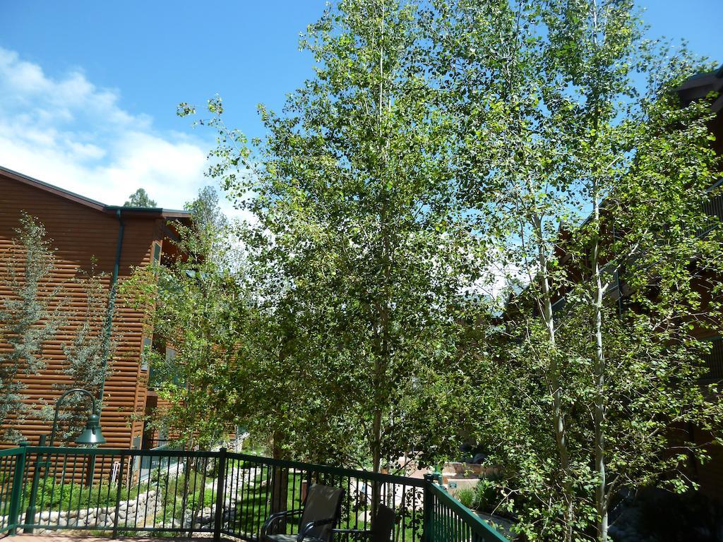 Ruidoso River Resort Condos エクステリア 写真