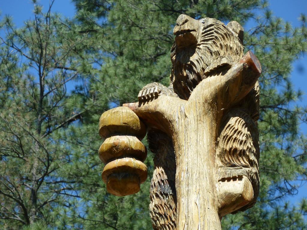 Ruidoso River Resort Condos エクステリア 写真